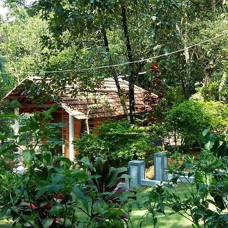 Leisure Vacations Whispering Woods Madikeri Exterior foto