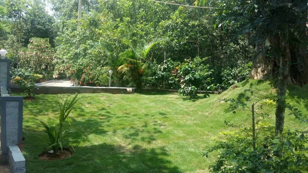 Leisure Vacations Whispering Woods Madikeri Exterior foto